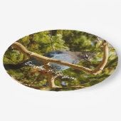 Steller's Jay at Rocky Mountain National Park Papieren Bordje (Gekanteld)