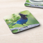 Stellers Jay Bier Onderzetter (Linkerzijde)