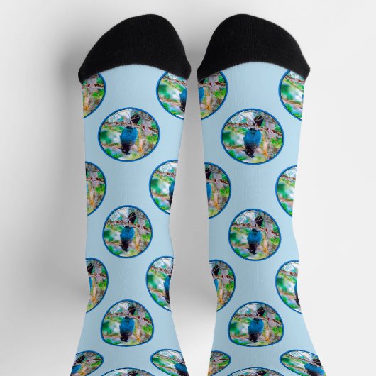 Steller's Jay in Forest Originele foto Sokken (Top)