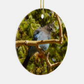 Steller's Jay in Rocky Mountain National Park Keramisch Ornament (Rechts)