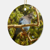 Steller's Jay in Rocky Mountain National Park Keramisch Ornament (Links)