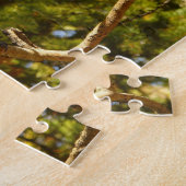 Steller's Jay in Rocky Mountain National Park Legpuzzel (Zijkant)