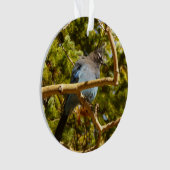 Steller's Jay in Rocky Mountain National Park Ornament (voorkant)