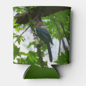 Steller's Jay in Yosemite National Park Blikjeskoeler (Voorkant)