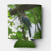 Steller's Jay in Yosemite National Park Blikjeskoeler (Achterkant)