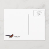 Steller's Jay in Yosemite National Park Briefkaart (Achterkant)