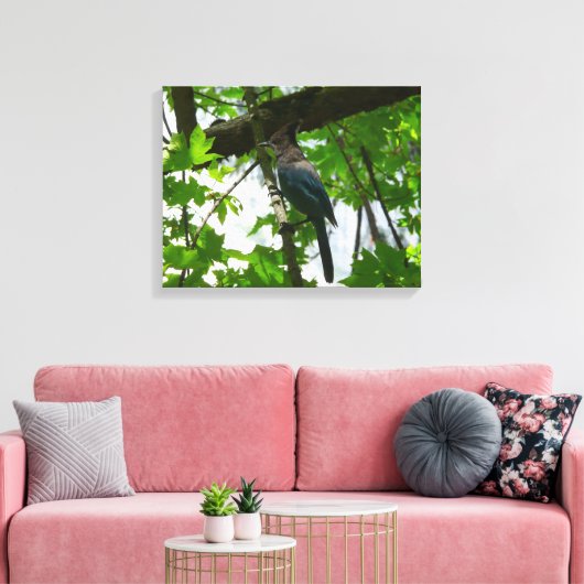 Steller's Jay in Yosemite National Park Canvas Afdruk (Insitu (Woonkamer))
