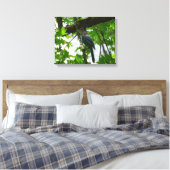 Steller's Jay in Yosemite National Park Canvas Afdruk (Insitu (Slaapkamer))