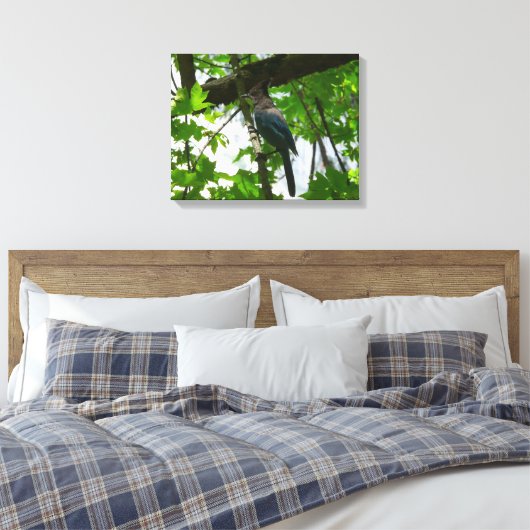 Steller's Jay in Yosemite National Park Canvas Afdruk (Insitu (Slaapkamer))