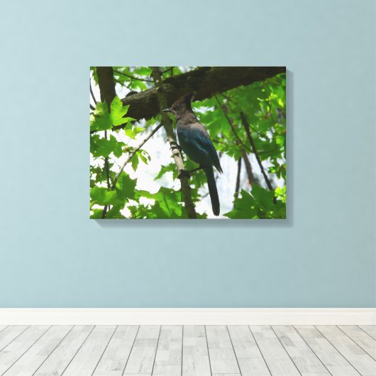 Steller's Jay in Yosemite National Park Canvas Afdruk (Insitu (Houten vloer))