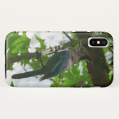 Steller's Jay in Yosemite National Park Case-Mate iPhone Case (Achterkant (horizontaal))