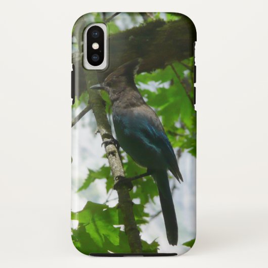 Steller's Jay in Yosemite National Park Case-Mate iPhone Case (Achterkant)