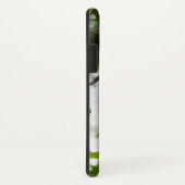 Steller's Jay in Yosemite National Park Case-Mate iPhone Case (Achterkant / rechts)