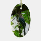Steller's Jay in Yosemite National Park Keramisch Ornament (Rechts)