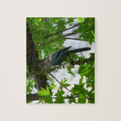 Steller's Jay in Yosemite National Park Legpuzzel (Verticaal)