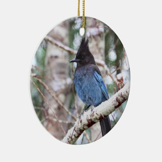 Stellers Jay Keramisch Ornament (Rechts)