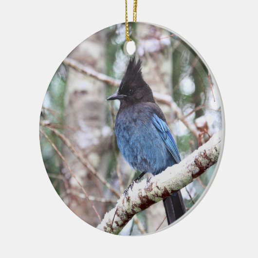 Stellers Jay Keramisch Ornament (Links)