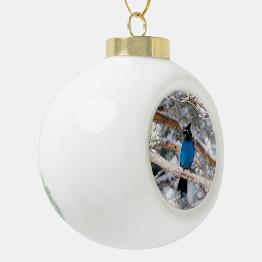 Steller's Jay Keramische Bal Ornament (Links)