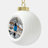Steller's Jay Keramische Bal Ornament (Rechts)