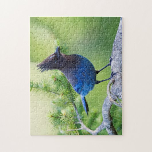 Stellers Jay Legpuzzel (Verticaal)