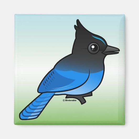 Stellers Jay Magneet (Voorkant)