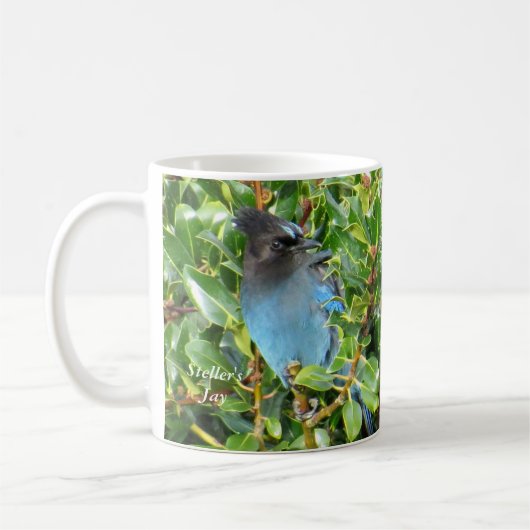 Stellers Jay Mok door BirdingCollectibles (Links)