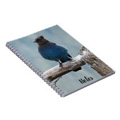 Steller's Jay Nature Afbeelding Notitieboek (Rechterzijde)