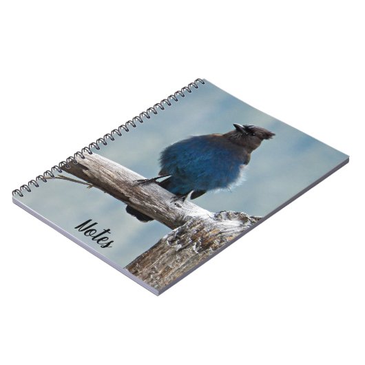 Steller's Jay Nature Afbeelding Notitieboek (Linkerzijde)