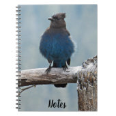 Steller's Jay Nature Afbeelding Notitieboek (Voorkant)