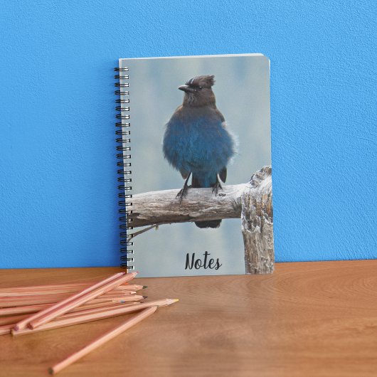 Steller's Jay Nature Afbeelding Notitieboek