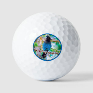 Steller's Jay - Originele Foto Golfballen