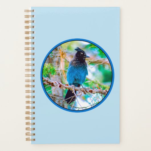 Steller's Jay - Originele Foto Planner (Voorkant)