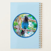 Steller's Jay - Originele Foto Planner (Achterkant)