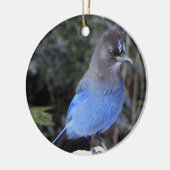 Stellers Jay Ornament (Links)