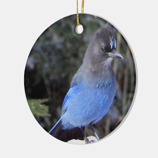 Stellers Jay Ornament (Links)