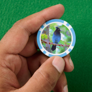 Steller's Jay Painting - Originele Wild Bird Art Poker Chips