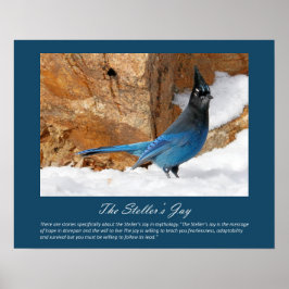 Stellers Jay Poster