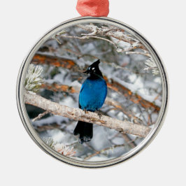 Steller's Jay Round Metalen Ornament