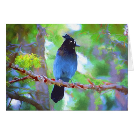 Stellers jay schilderen - Oorspronkelijke vogelkun (Voorkant Horizontaal)