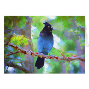 Stellers jay schilderen - Oorspronkelijke vogelkun