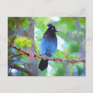 Stellers jay schilderen - Oorspronkelijke vogelkun Briefkaart