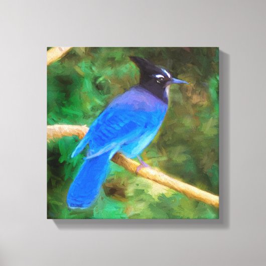 Stellers jay schilderen - Oorspronkelijke vogelkun Canvas Afdruk (Voorkant)