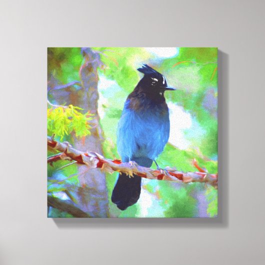 Stellers jay schilderen - Oorspronkelijke vogelkun Canvas Afdruk (Voorkant)