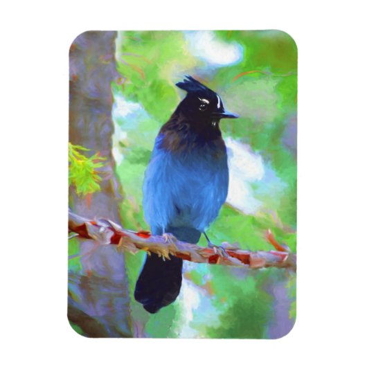 Stellers jay schilderen - Oorspronkelijke vogelkun Magneet (Verticaal)