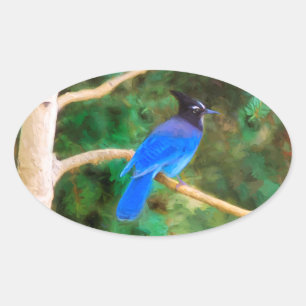 Stellers jay schilderen - Oorspronkelijke vogelkun Ovale Sticker