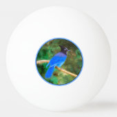 Stellers jay schilderen - Oorspronkelijke vogelkun Pingpongbal (Achterkant)