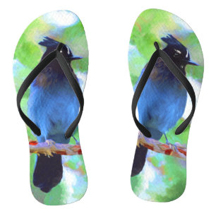 Stellers jay schilderen - Oorspronkelijke vogelkun Teenslippers
