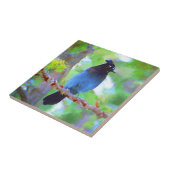 Stellers jay schilderen - Oorspronkelijke vogelkun Tegeltje (Zijkant)