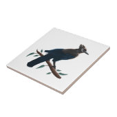 Stellers Jay Tegeltje (Zijkant)