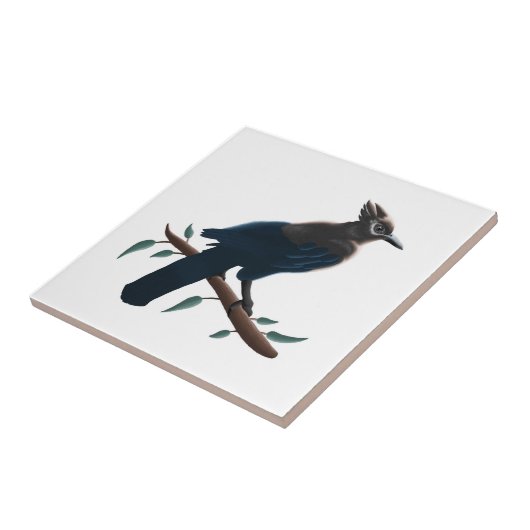 Stellers Jay  Tegeltje (Zijkant)